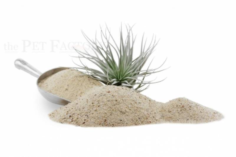 Terrariensand "Sahara"